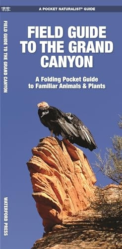 Field Guide to the Grand Canyon: A Folding Pocket Guide to Familiar Plants and Animals (A Pocket Naturalist Guide)
