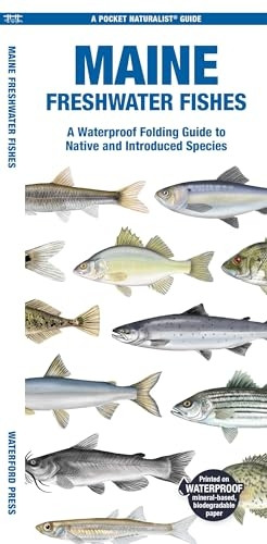 Maine Freshwater Fishes: A Waterproof Folding Guide to Native and Introduced Species