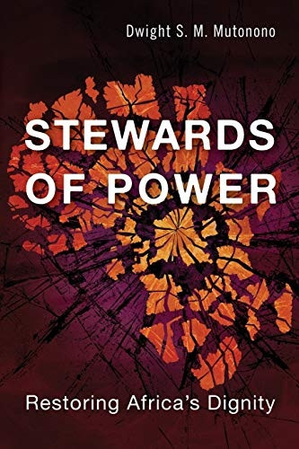 Stewards of Power: Restoring African Dignity by Maximizing Resources
