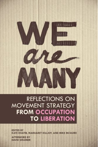 We are Many: Reflections on Movement Strategy from Occupation to Liberation