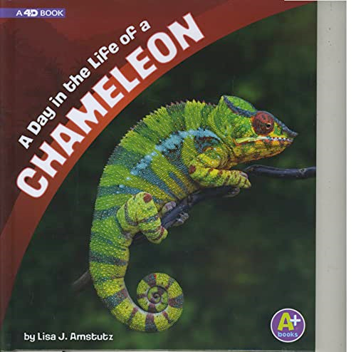A Day in the Life of a Chameleon: A 4D Book (Day in the Life)