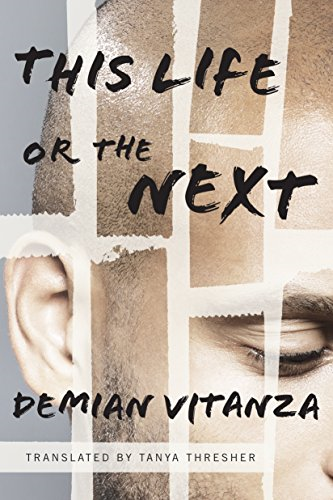 This Life or the Next: A Novel