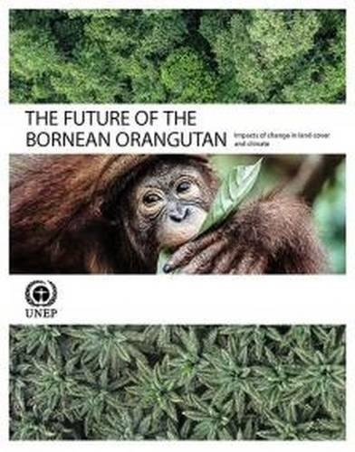 The future of the Bornean Orangutan: impacts of change in land and climate