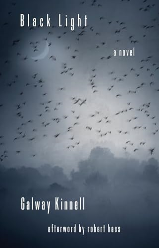 Black Light: A Novel