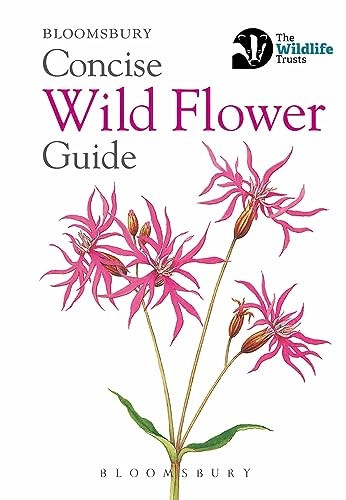 Concise Wild Flower Guide (The Wildlife Trusts)
