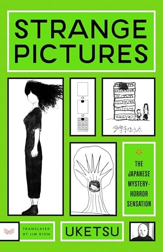 Strange Pictures : a Novel