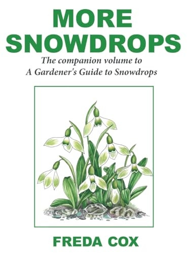 More Snowdrops