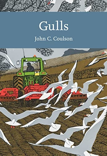 Gulls (Collins New Naturalist Library) (Collins New Naturalist Library)