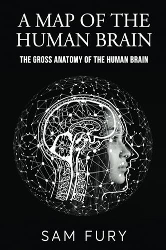 A Map of the Human Brain: The Gross Anatomy of the Human Brain (Functional Health)