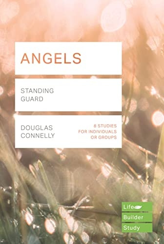 ANGELS LIFEBUILDER