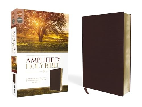 AMPLIFIED THINLINE BIBLE BND BRG BND