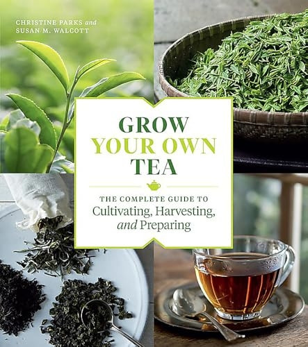 Grow Your Own Tea