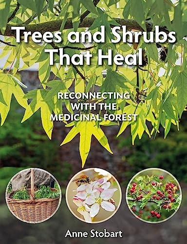 Trees and Shrubs That Heal: Reconnecting With The Medicinal Forest