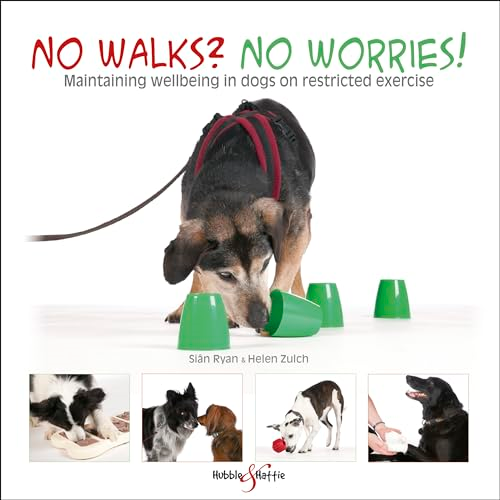 No walks? No worries!: Maintaining wellbeing in dogs on restricted exercise