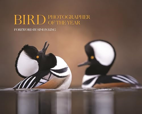 Bird Photographer of the  Year: Collection 9