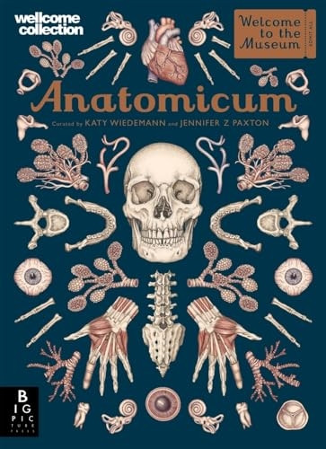 Anatomicum (Welcome To The Museum)