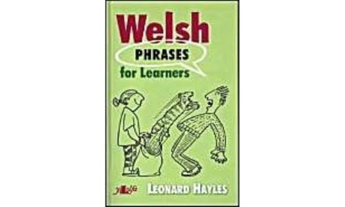 Welsh Phrases for Learners