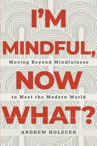 I'm Mindful, Now What?: Moving Beyond Mindfulness to Meet the Modern World