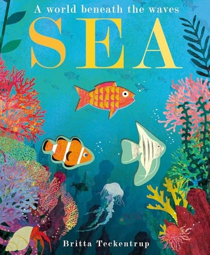 Sea: A World Beneath the Waves [Board book]