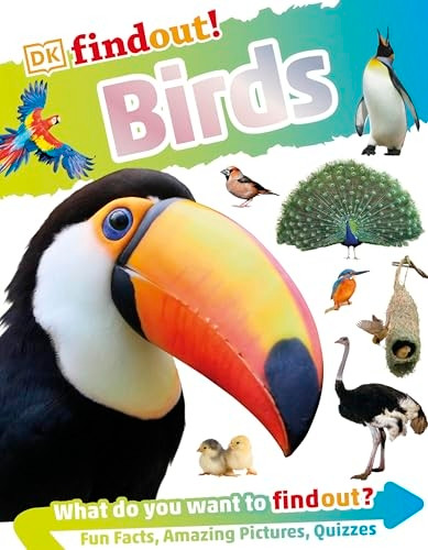 DKfindout! Birds (DKfindout!)