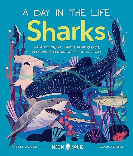 Sharks: What Do Great Whites, Hammerheads, and Whale Sharks Get Up To All Day? (A Day in the Life)