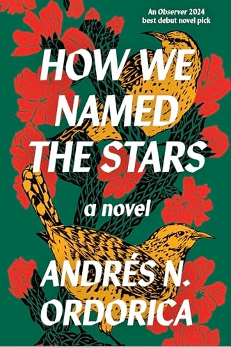 How We Named the Stars