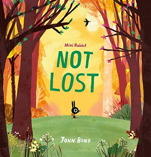 Mini Rabbit Not Lost (Mini Rabbit) (Mini Rabbit)
