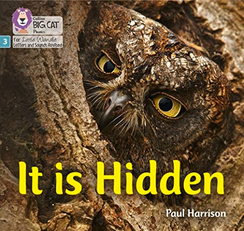 Big Cat Phonics for Little Wandle Letters and Sounds Revised - It is Hidden: Phase 3 (Big Cat Phonics for Little Wandle Letters and Sounds Revised)