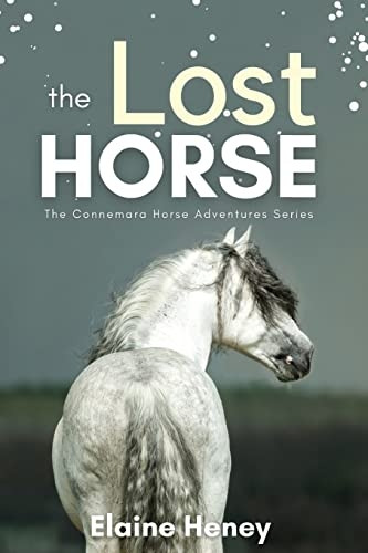 The Lost Horse: Book 6 in the Connemara Horse Adventure Series for Kids (Connemara Horse Adventures)