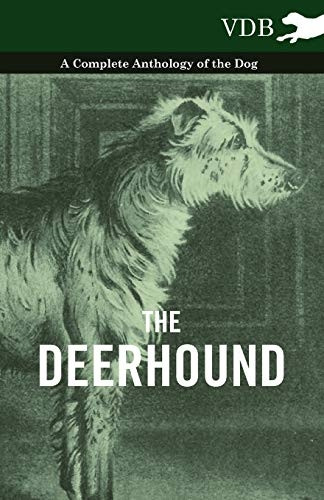 The Deerhound  -  A Complete -  Anthology of the Dog  -