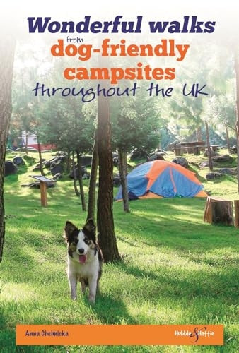 Wonderful Walks from Dog-Friendly Campsites Throughout the UK