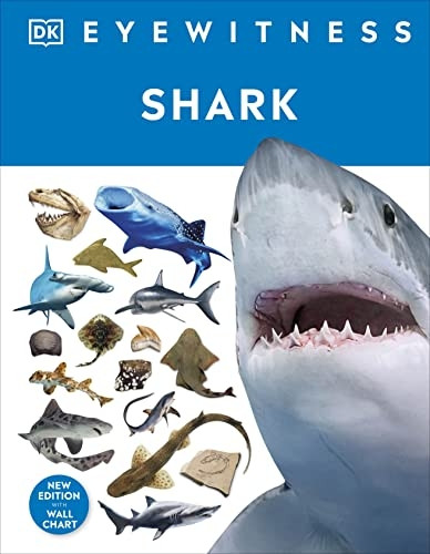 Shark (DK Eyewitness)
