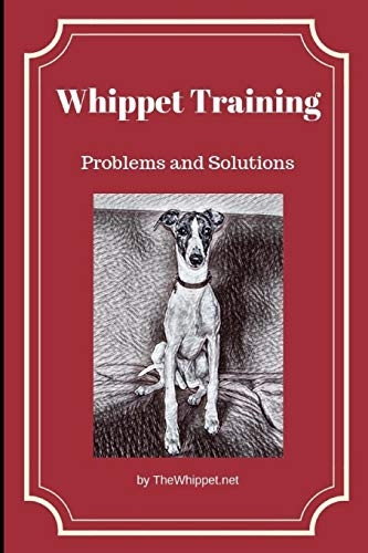 Whippet Training: Problems and Solutions (Thewhippet.Net)