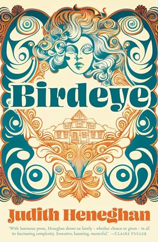 Birdeye (Salt Modern Fiction)