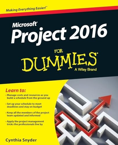Project 2016 for Dummies