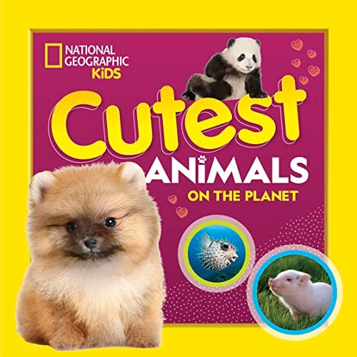 Cutest Animals on the Planet