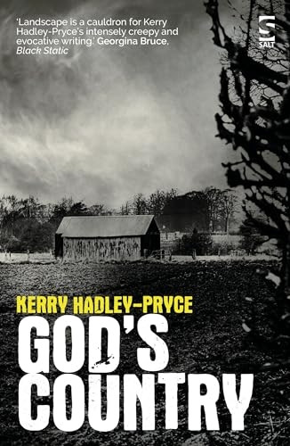 God's Country (Salt Modern Fiction)