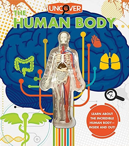 Uncover the Human Body (Uncover)