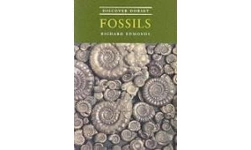 Discover Dorset Fossils (Discover Dorset)