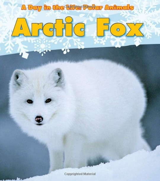 Arctic Fox (Day in the Life: Polar Animals)
