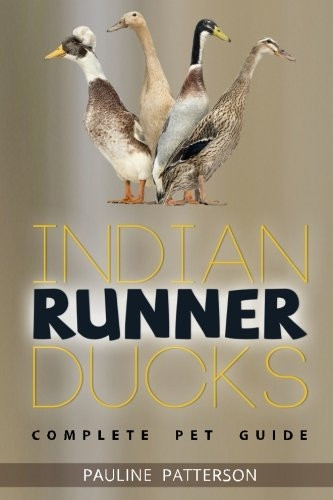 Indian Runner Ducks: The Complete Owners Guide