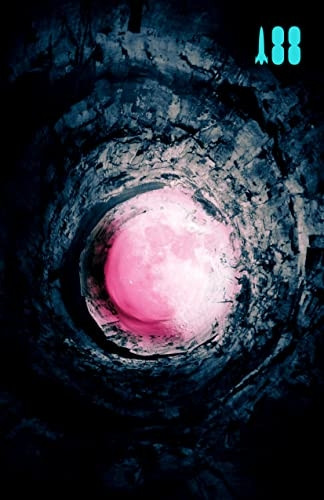 Pink Moon, a Story About Nick Drake