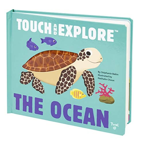 The Ocean (Touch and Explore) [Board book]