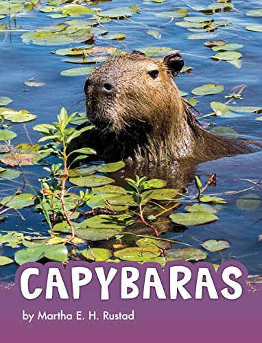 Capybaras (Animals)