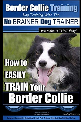 Border Collie Training Dog Training with the No Brainer Dog Trainer We Make It That Easy!