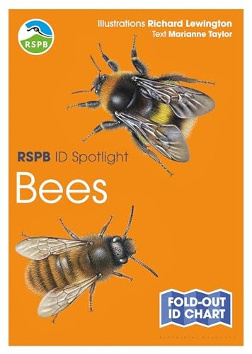 Rspb Id Spotlight - Bees (Rspb)