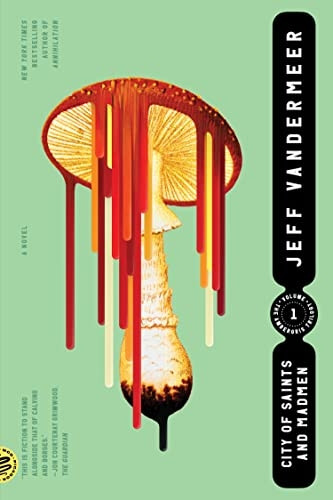 City of Saints and Madmen (Ambergris Trilogy)
