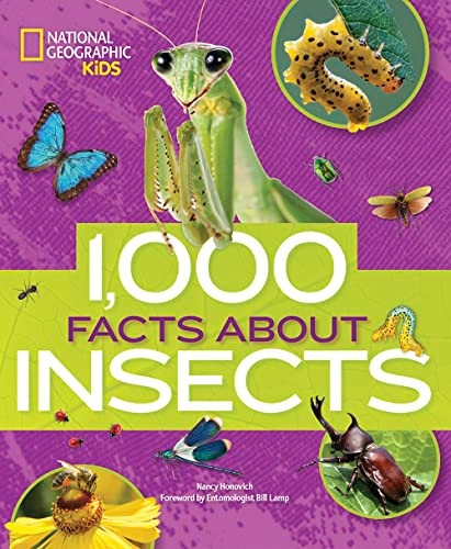 1000 Facts About Insects (100 Facts About...)