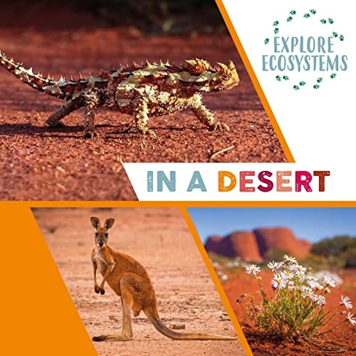 Explore Ecosystems: In a Desert (Explore Ecosystems)