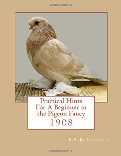 Practical Hints For A Beginner in the Pigeon Fancy